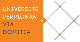 Bachelor universitaire de technologie (BUT),Carrières Juridiques